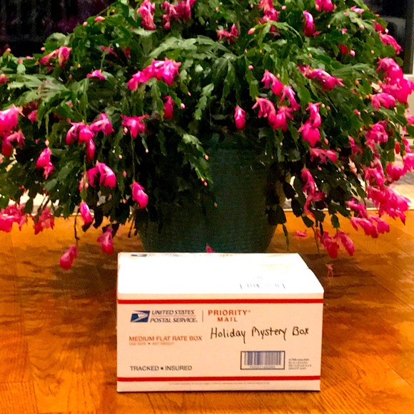 Other - HOLIDAY MYSTERY BOX Everything in box NWT’s